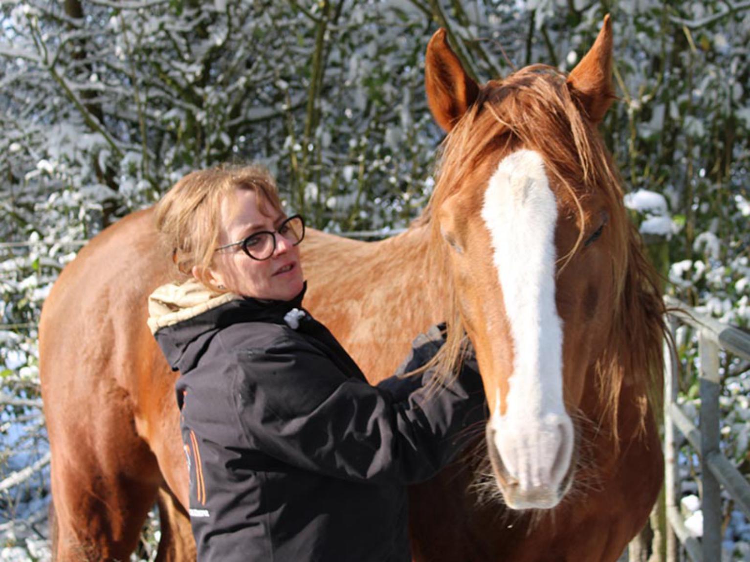 ai2c equicoaching ai2c equicoaching